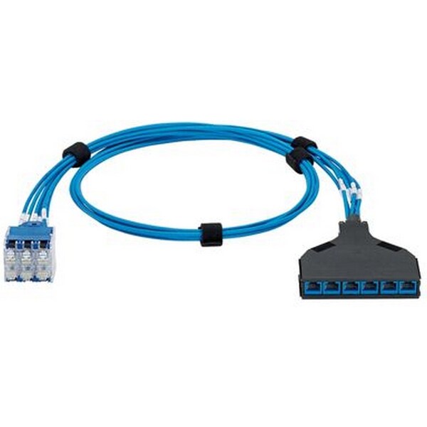 Panduit QN SWITCH PORT HARNESS CAT6, 6X BU PLUG PK-CASS BLUE JACKS, CM/LSZH 14FT QPCSDBABB14